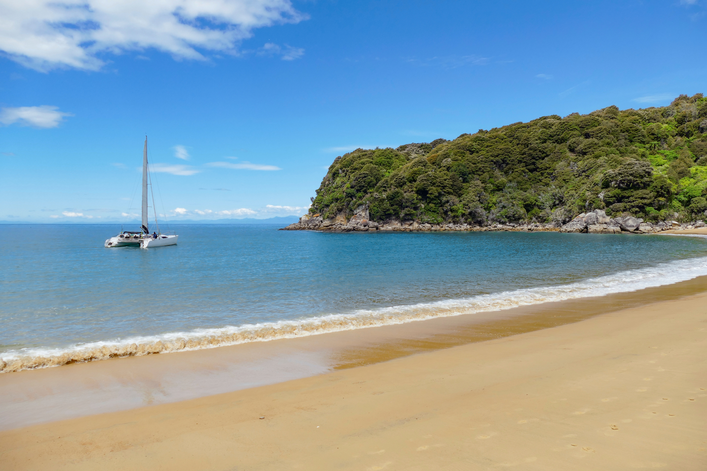 110 abel tasman national park.webp